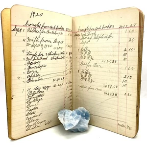 RUTHERFORD, F.W. - Handwritten Cash Book 1920-1921 Farm Ledger - Picture 1 of 3