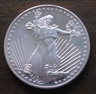 ZALDI2010. USA .1 OZ Silver, Liberty, Silver Pure Wool