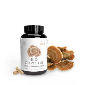 Pilze Wohlrab | Coriolus versicolor Extrakt Kapseln BIO | 60 Stück | Vitalpilze - Bild 1 von 8