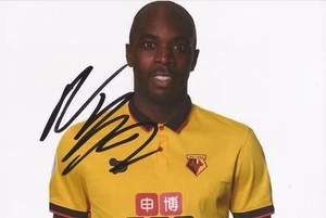 WATFORD: ALLAN NYOM SIGNED 6x4 2016/2017 PORTRAIT PHOTO + COA - Bild 1 von 1
