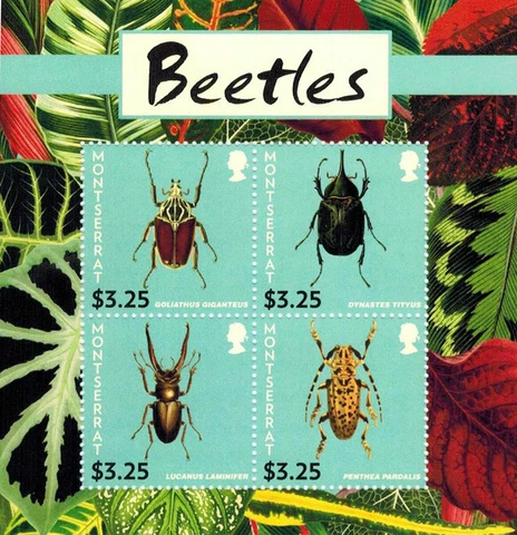 Montserrat - 2015 Beetles Stamps - Sheet of 4 - MNH Cover