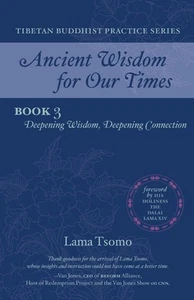 Deepening Wisdom, Deepening Connection by Lama Tsomo Paperback Book - Picture 1 of 1