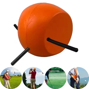 Golf Swing Trainer Device Arm Connector Golf Training Helper Swing Arm Corrector - Picture 1 of 12