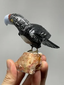 Splendida scultura in pietra Bird Of Paradise 6,6 oz Jasper Energy Reiki L5 - Foto 1 di 12