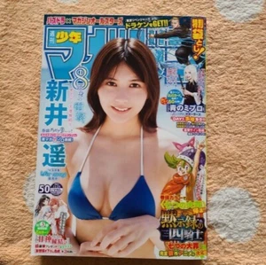 Weekly Shonen Magazine 2021 No.50 Four Knights of the Apocalypse front color JP - Picture 1 of 3