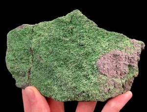 UVAROVITE Racimo de Cristal Crudo Druzy - Calcio Cromo Verde Granate Piedra, 51680 - Imagen 1 de 7