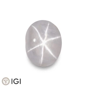 IGI Certified CEYLONESE Grey Star Sapphire 8.73 Ct. Natural Untreated OVAL - Picture 1 of 8