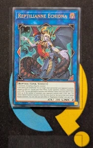 DUOV-EN016 Reptilianne Echidna Ultra Rare 1st Edition YuGiOh Card - Picture 1 of 2