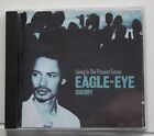 Eagle Eye Cherry, living in the present future, CD