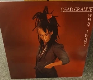 dead or alive what i want 12" 1st edition VGC - Picture 1 of 3