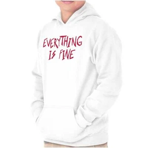 Funny Sarcastic Everything Is Fine Humor Youth Hooded Sweatshirt Boy or Girl - Picture 1 of 7