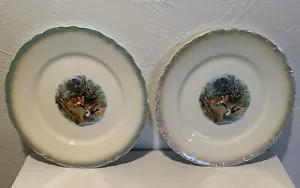 DE McNicol East Liverpool OH 9 Inch Plate White With Blue Trim Fox & Mallard-2 - Picture 1 of 12