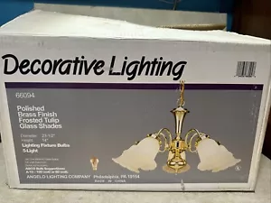 Angelo Lighting Company Polished Brass Finish Frosted Tulip Glass Shades #66094 - Picture 1 of 8