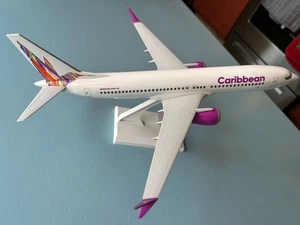 daron skymarks 737 MAX Carribean - Picture 1 of 4