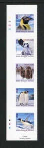 British Antarctic Territory BAT 2023 Penguins 5v MNH ** Postcard Self-adhesive - Picture 1 of 1