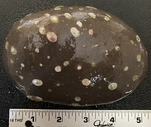 Michigan sehr cooler Stein-Galaxie Stein Amygdaloid Basalt bunte Mineralien 1,8 Pfund - Bild 1 von 6