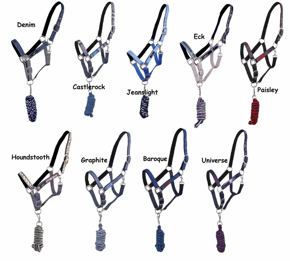 AKTION Halfter + Strick im Set weich unterlegt Gr. Shetty - FULL Farbauswahl - Bild 1 von 1