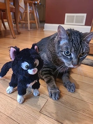 Mittens Plush Cat Disney Store BOLT 7" Plush Kitty Black White - Image 1 of 4
