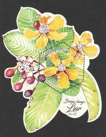 MALAYSIA 2020 WILD FLOWERS SERIES III (SIMPOH AIR) ODD SHAPED SOUVENIR SHEET Cover