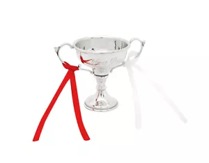 Coppa Trophäe Metallo Argento Erster Posizione Prezzo con Incisione Bambino Mama - Photo 1/5