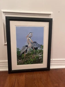Vintage KAY WELLS “ He And She” Birds Herons Print 20x16.5 Framed Photography - Picture 1 of 4