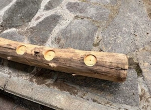 schwemmholz treibholz groß - Bild 1 von 7