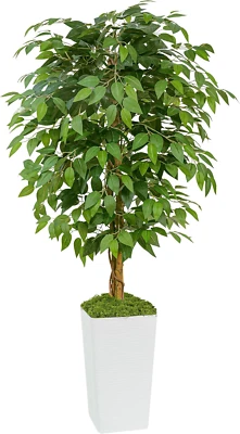 Artificial Ficus Tree 5FT Faux Floor Tree with Planter UV Resistant Potted Fake - Image 1 of 4