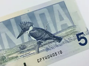1986 Canada 5 Dollar Five Dollar Uncirculated GPY Knight Dodge Banknote V286 - Picture 1 of 11