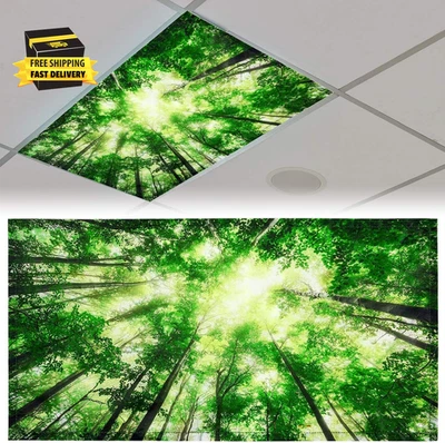 Cubierta de luz fluorescente de 4 X 2 pies para techo aula pantalla de cubículo magnética  Foto 1 de 4