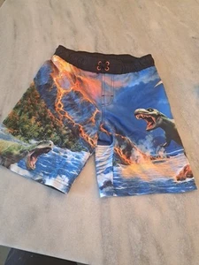 Wonder Nation Quick Dry UPF 50+ Boys Swim Shorts Size M(8) - Picture 1 of 1