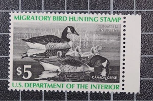 Scott RW43 - $5.00 1976 Duck Stamp MNH PSE Cert Grade 95 SCV - $80 - Picture 1 of 3