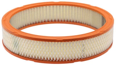 Air Filter   Fram   CA305 Foto 1 de 2