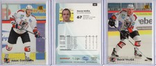HC HAVIROV PANTHERS - Czech OFS [2009/10] **** PICK YOUR CARD ****