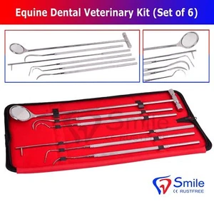 England Equine Dental Mirror Scaler Probe Explorer Veterinary Kit Set U.K Stock - Bild 1 von 4