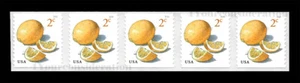 2018 Scott #5256 .02¢ Meyer Lemons - Sehr guter Erhaltungszustand - NMH-S/A Spulenstreifen von 5 - Bild 1 von 1
