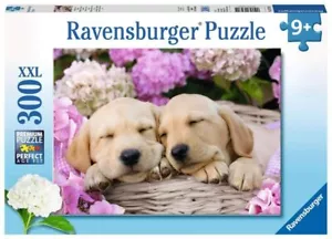 Rompecabezas Ravensburger - Wildlife Selfie 300 piezas XXL - Imagen 1 de 1