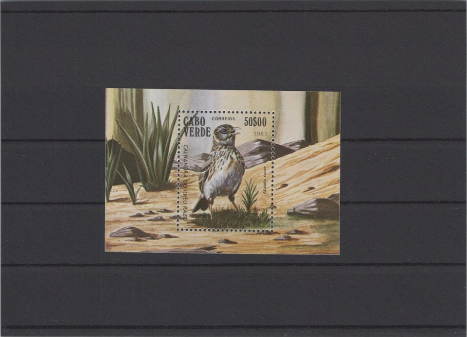 Cape Verde 1981 Raso Lark Bird XF Mint Never Hinged - Image 1 of 1