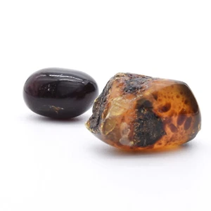 Amber Polished - Picture 1 of 5