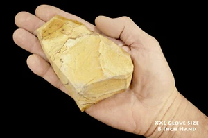 PICTURE JASPER Tan 4 1/2" 1-2 Lb Wild Horse Owyhee Rock Mineral Lapidary Rough - Picture 1 of 4