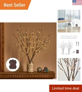 Warm White LED Willow Branch Lights - Battery Operated with Timer - 18in 70L - Picture 1 of 11