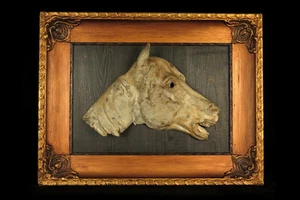 Rare et ancien vestige d'enseigne boucherie chevaline en zinc c.1880 / Cheval - Picture 1 of 13