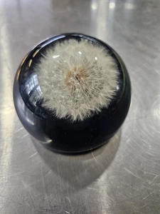 Vintage Half Dome Pusteblüte Briefbeschwerer Dekor - Bild 1 von 7