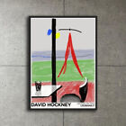 Special Framed Item/Me Draw on iPad/David Hockney