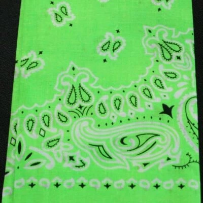 Bandannas Hav-A-Hank Hechas en EE. UU. 100 % Algodón Neón Paisley 22 pulgadas X 22 pulgadas Foto 1 de 4