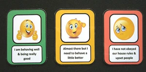 MY BEHAVIOUR AT HOME TRAFFIC LIGHTS CUE CARDS - Autism ADHD Visual Aids SEN PECS - Picture 1 of 4