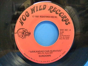 Sundown Arkansas Can Survive / Take Me Back Home To Arkansas 1982 Wild Hog 001 - Picture 1 of 3