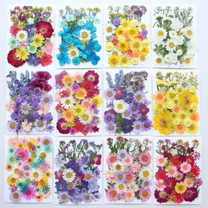 Nature Dried Pressed Flowers Crafts for Candle DIY Resin Jewelry Making Decors - Picture 1 of 28