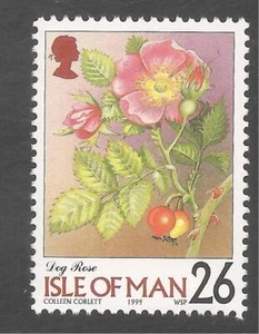 Isle Of Man #800 (A177) VF MNH - 1998-99 26p Dog Rose Flower - Picture 1 of 1