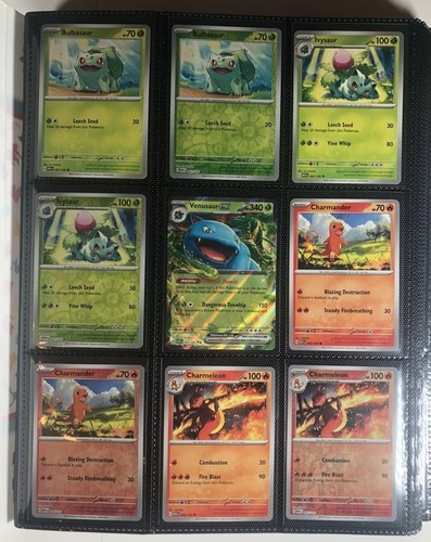 Foto 1 di 24