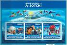 A0575- GUINEA,  ERROR,  MISPERF,  Miniature s: 2013 Sochi Winter Games,  Ski,  Hockey